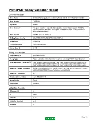 Primepcr™Assay Validation Report