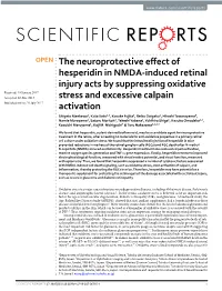 The Neuroprotective Effect of Hesperidin in NMDA-Induced Retinal