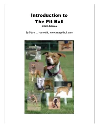 There Are Some People That Claim Pit Bulls Are No More Inter-Dog Or