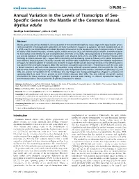 Specific Genes in the Mantle of the Common Mussel, Mytilus Edulis