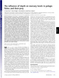 The Influence of Depth on Mercury Levels in Pelagic Fishes and Their Prey