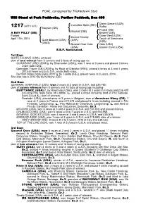 FOAL, Consigned by Trickledown Stud