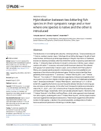 Hybridization Between Two Bitterling Fish Species in Their Sympatric Range and a River Where One Species Is Native and the Other Is Introduced