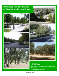 Planning for the Future of Rocklin's Urban Forest