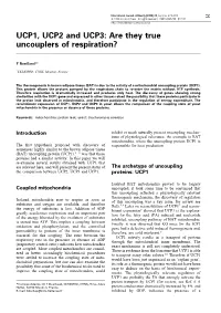 UCP1, UCP2 and UCP3: Are They True Uncouplers of Respiration?