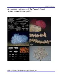 Alcyonacean Octocorals of the Pinnacle Trend: a Photo-Identification Guide