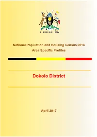 Dokolo District