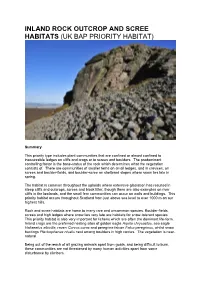 Inland Rock Outcrop and Scree Habitats (Uk Bap Priority Habitat)