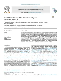 Parallel Diversification of the African Tree Toad Genus Nectophryne (Bufonidae)