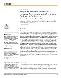 The Potential Distribution of Cassava Mealybug (Phenacoccus Manihoti), a Threat to Food Security for the Poor