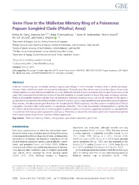 Gene Flow in the Mu¨ Llerian Mimicry Ring of a Poisonous Papuan Songbird Clade (Pitohui; Aves)