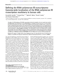 Genome-Wide Localization of the RNA Polymerase III Transcription Machinery in Human Cells