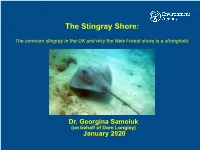 SSD Fish Monitoring Briefing 2013