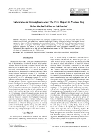 Subcutaneous Hemangiosarcoma: the First Report in Maltese Dog