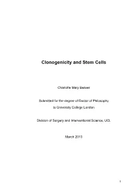 Clonogenicity and Stem Cells