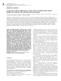 CX3CL1 System in the Cross-Talk Between Chronic Lymphocytic Leukemia Cells and Tumor Microenvironment