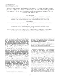 Role of Glutamate Dehydrogenase and Glutamine Synthetase In