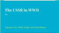 The USSR in WWII