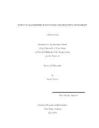 Topics in Algorithmic Randomness and Effective Probability