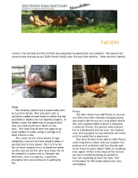Fall Newsletter 2016