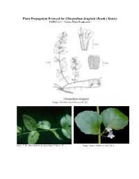 Draft Plant Propagation Protocol