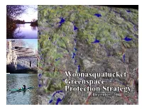 Woonasquatucket Greenspace Project