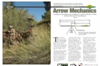 Identifying Certain Factors That Give Hunting Arrows Improved Performance in Windy Conditions and Increased Energy Downrange
