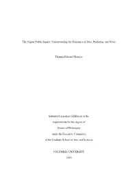 Understanding America's Digital Public Square 020419 V20