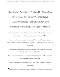 Detection of Penicillin G Produced by Penicillium Chrysogenum KF 425 In