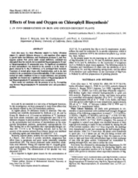 Effects of Iron and Oxygen on Chlorophyll Biosynthesis' I