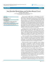 New Persistent Opioid Abuse and the Brain Reward Circuit