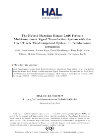 The Hybrid Histidine Kinase Lads Forms a Multicomponent Signal