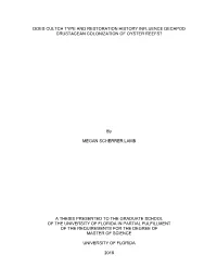University of Florida Thesis Or Dissertation