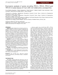 Expression Analysis of Genes Encoding TEX11, TEX12, TEX14 and TEX15 in Testis Tissues of Men with Non-Obstructive Azoospermia