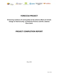 Foreccsa Project Project Completion Report