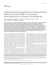 Kinetochore Kinesin CENP-E Is a Processive Bi-Directional Tracker of Dynamic Microtubule Tips