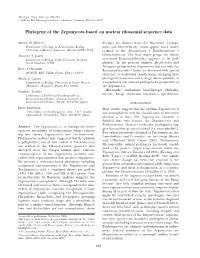 Phylogeny of the Zygomycota Based on Nuclear Ribosomal Sequence Data