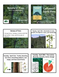 Botany of Trees 2