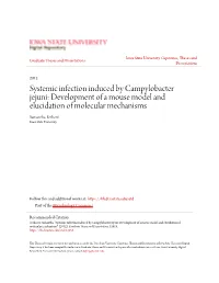 Systemic Infection Induced by Campylobacter Jejuni: Development of a Mouse Model and Elucidation of Molecular Mechanisms Samantha Terhorst Iowa State University