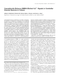 Cannabinoids Enhance NMDA-Elicited Ca2+ Signals In