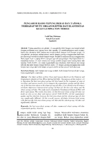 Download This PDF File