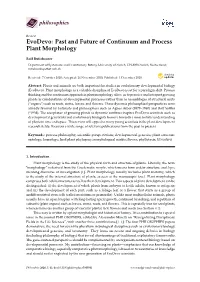 Evodevo: Past and Future of Continuum and Process Plant Morphology