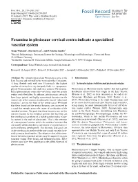 Foramina in Plesiosaur Cervical Centra Indicate a Specialized Vascular System
