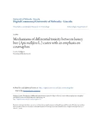 Mechanisms of Differential Toxicity Between Honey Bee (&lt;I&gt;Apis