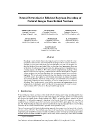 Neural Networks for Efficient Bayesian Decoding of Natural Images From