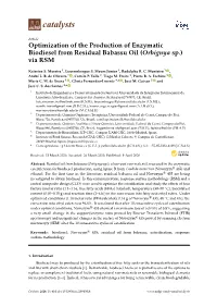 Optimization of the Production of Enzymatic Biodiesel from Residual Babassu Oil (Orbignya Sp.) Via RSM