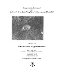 Allocrangonyx Hubrichti)