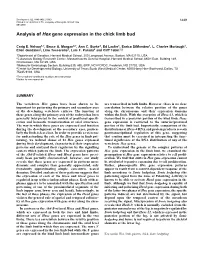 Analysis of Hox Gene Expression in the Chick Limb Bud