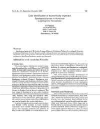 Djvu Document