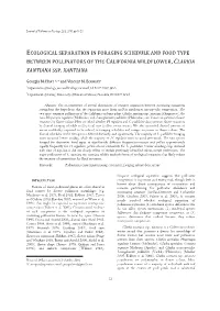 Ecological Separation in Foraging Schedule and Food Type Between Pollinators of the California Wildflower , Clarkia Xantiana Ssp